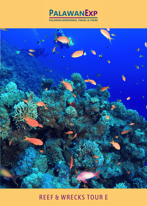 Reefs and Wrecks Tour E