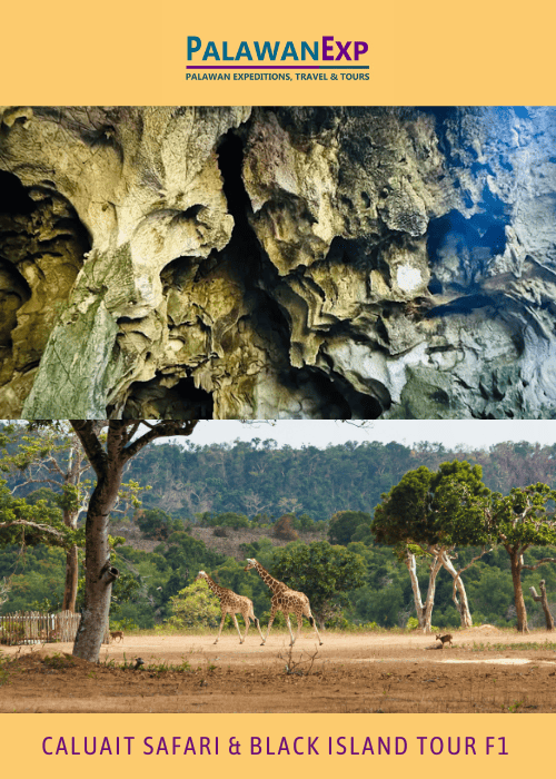 Calauit Safari with Black Island Tour F1